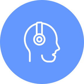 IT System Inspections icon 4.png